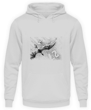 Hoodie dragon / planeur Hoodie dragon / planeur