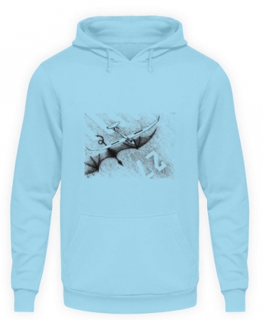 Hoodie dragon / planeur