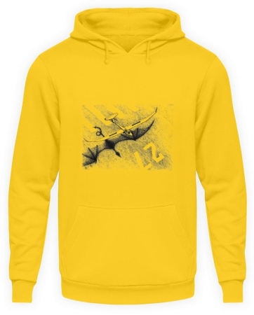 Hoodie dragon / planeur