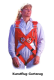 Parachute de secours Softie Mini 240