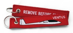 Ventus Remove avant le vol Ventus Remove avant le vol
